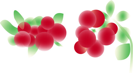 Vector ripe cranberry bunch with green leaves - isolated. Autumn theme. Ripe red berries of cranberry branch.