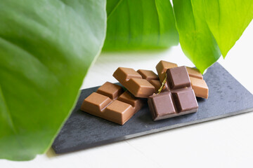 Organic dark and mil chocolate squares on a slate tray with monstera leaves in the background. One of de pieces is bitten.