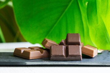 Close up shot of some organic chocolate squares with a Monstera leaf on the background. With copy space.