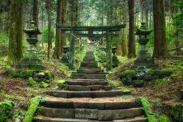 Torii gate in the forest near Kumamoto, Japan
