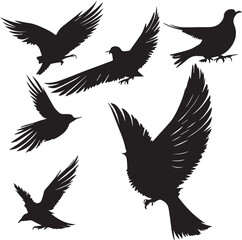 Fototapeta premium Dove silhouette set in white background 