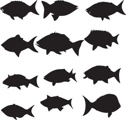 Fish silhouette set in white background