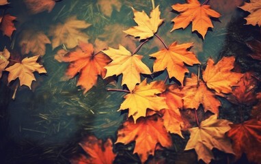 Naklejka na ściany i meble Autumn maple leaves background texture for web banner, decoration, Generative AI