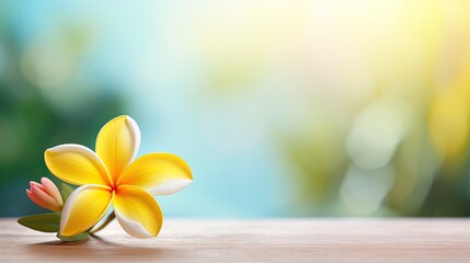 Fototapeta na wymiar An awe-inspiring capture of a tiny yellow plumeria flower, showcasing its delicate petals and sweet fragrance, against a soft and dreamy background, offering negative copy space. Generative AI. 