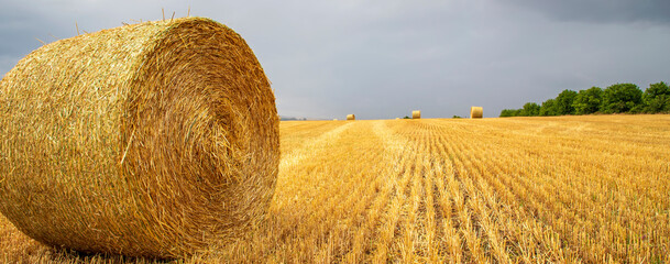 Panoramic view of big bales of hay on the field after harvest © EdVal