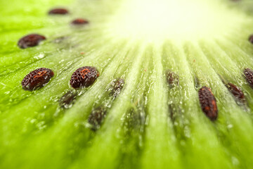Kiwi Fruit Texture Background