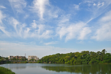 池の上に拡がる青空に煙のような雲がうかんでいる風景