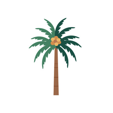 Flat style coconut tree illustration, cartoon style palm tree icon vector