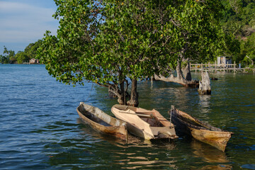 The boats owned by the Bajau Laut people, delicately tethered to a majestic tree.