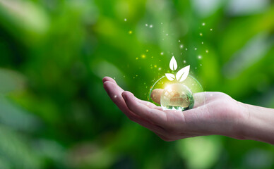 Hand holding green leaf with Net-Zero icons. CO2 Net-Zero Emission - Carbon Neutrality concept.