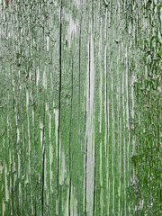 green paint on wood planks texture