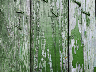 green paint on wood planks texture