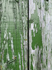 Obraz premium old wood texture