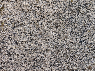 texture of stone close up