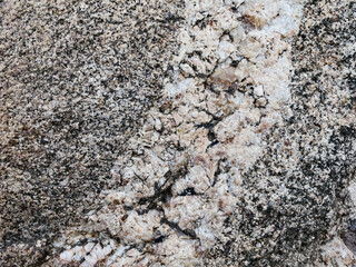 detailed texture of stone