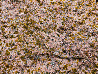 texture of stone close up