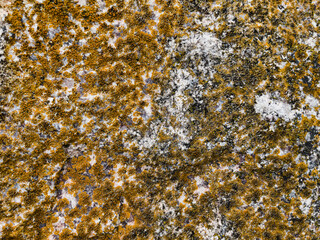 texture of stone close up