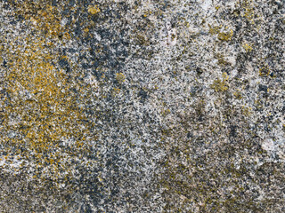 texture of stone close up
