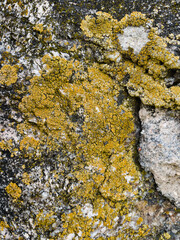 texture of stone close up