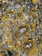 texture of stone close up