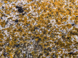texture of stone close up