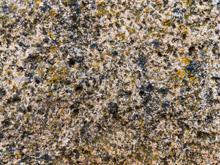 texture of stone close up