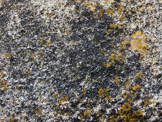 texture of stone close up