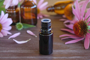 Small glass bottles of echinacea  tincture(water infusion, extract, perfume). Echinacea essential oil. Fragrant flower for perfumery, cosmetics production. Side view.