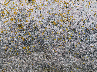 texture of stone with yellow lichen close up