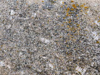 texture of stone with yellow lichen close up