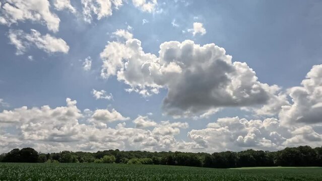 Sky timelapse with clouds over corn field.