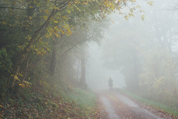 Fototapeta na wymiar Silhouette dans le brouillard. Balade dans les bois en automne. Une personne marchant sur une route forestière automnale. Brume sur une route avec un promeneur. Randonnée automnale. 