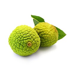 Fototapeta premium osage orange isolated on whitebackground