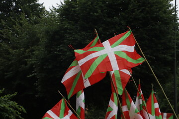 Basque flag in a demonstration - obrazy, fototapety, plakaty
