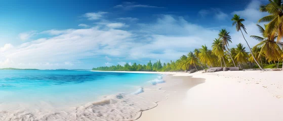 Poster de jardin Bleu Tropical Paradise: White Sands and Coco Palms Panorama