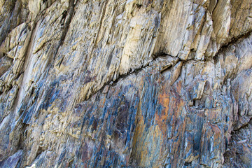 Nature's Textured Canvas: Macro Close-up of Bark and Rock Patterns in Mountain