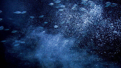 Fototapeta na wymiar Fishes swimming in big stream of water and air bubbles in clear sea or ocean. Abstract underwater background or backdrop