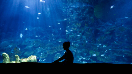 Silhouette of little boy sitting in the bog aquarium and looking at swimming fishes and coral reefs