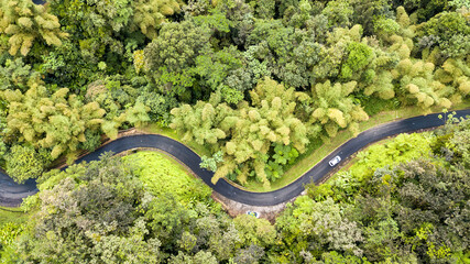 Obraz na płótnie Canvas Aerial view of mountain roads in the caribbean island of Martinique.One of the most beautiful road leading to the top of the island towards the volcano.