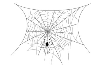 vector of spider web black on white