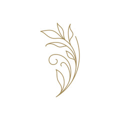 Romantic botanical branch with leaves and stem natural blossom spring lush line art icon vector