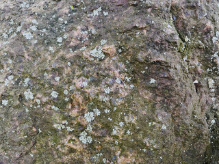 texture of stone close up