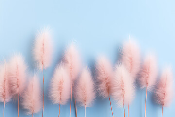 Pink fluffy bunny tails isolated on flat pastel blue light color background with copy space, banner template. Fluffy dry flowers, closeup. Generative AI photo.