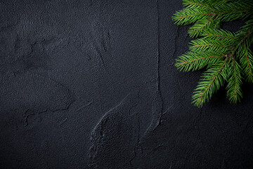 Abstract, textural black christmas background with spruce branch