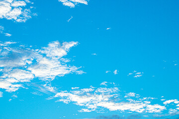 Fototapeta na wymiar Pillows of the Sky: Exploring the Beauty of Cumulus Clouds against a Blue Canvas