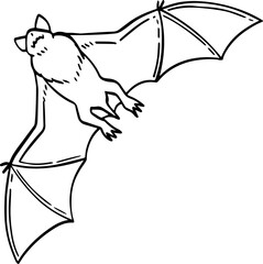 hand drawn cartoon bat illustration.