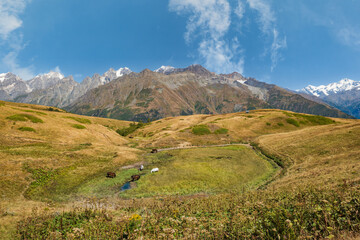 Mountain hiking landscape in Mestia, Svaneti region in Georgia. Drone like image of mountain landscape around Koruldi lakes area with snow in Caucasus . High quality photo