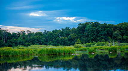 Kołobrzeski Ecopark © lech