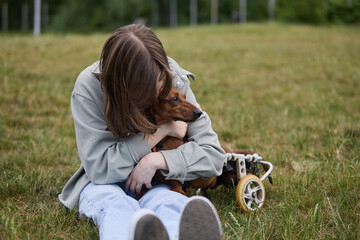 Dog owner girl hugging a paralyzed dachshund pet on a wheel chair