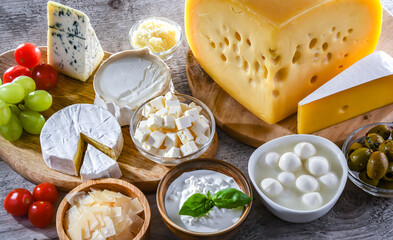 Composition with a variety of dairy products